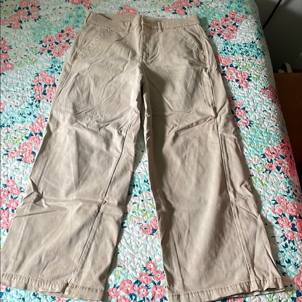 American Eagle Outfitters Tan Wide Leg Pants